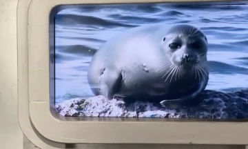 Экскурсия по музею природы Бурятии