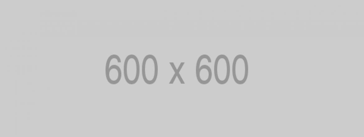 10 Lý do Để Bắt đầu Trang web Có Lợi nhuận của Riêng Bạn!