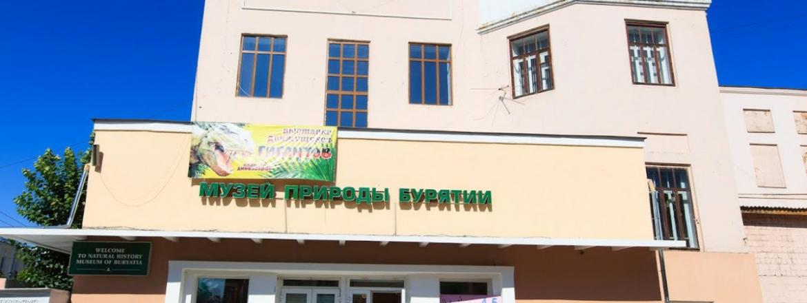 Сегодня Музей природы Бурятии отмечает свой день рождения