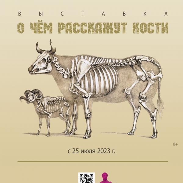 В Музее природы открыта  временная выставка «О чём расскажут кости»