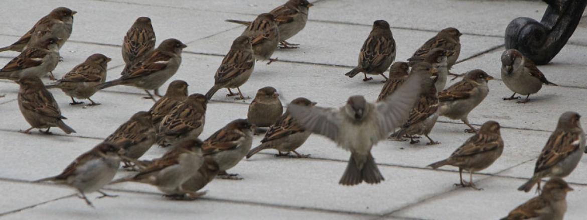 Выставка «Кто они, наши соседи?»