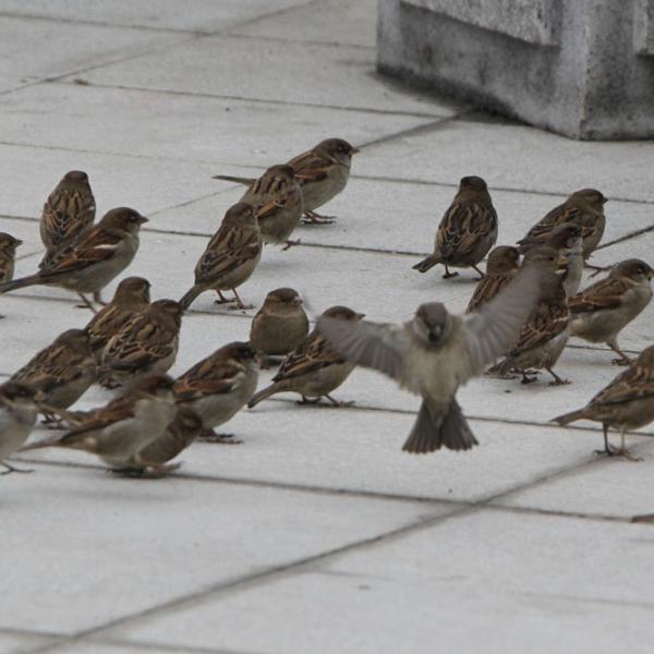 Выставка «Кто они, наши соседи?»